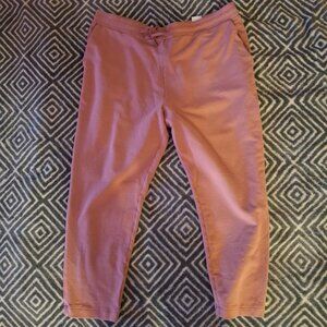 Banana Republic Coral Pink Viscose Blend Drawstring Sweatpants Sz XL